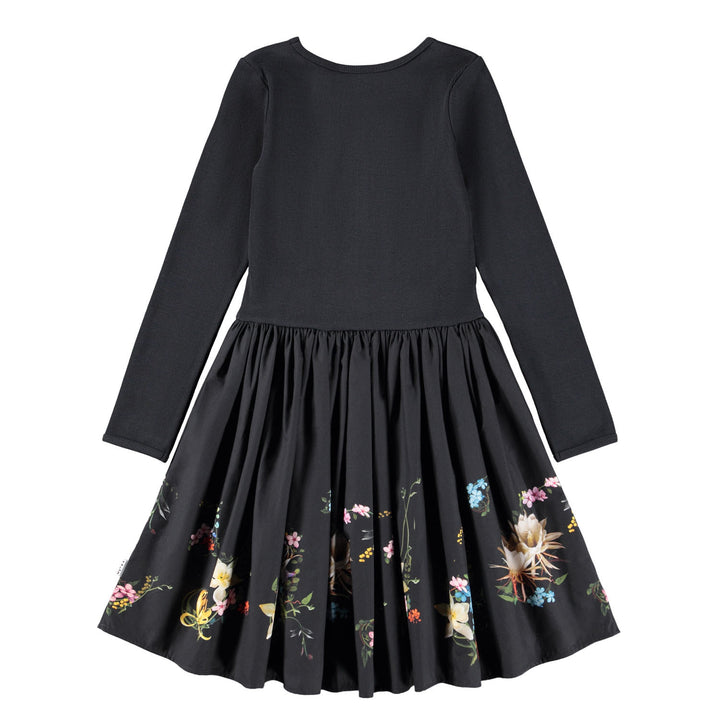 Casie-Paisley Border