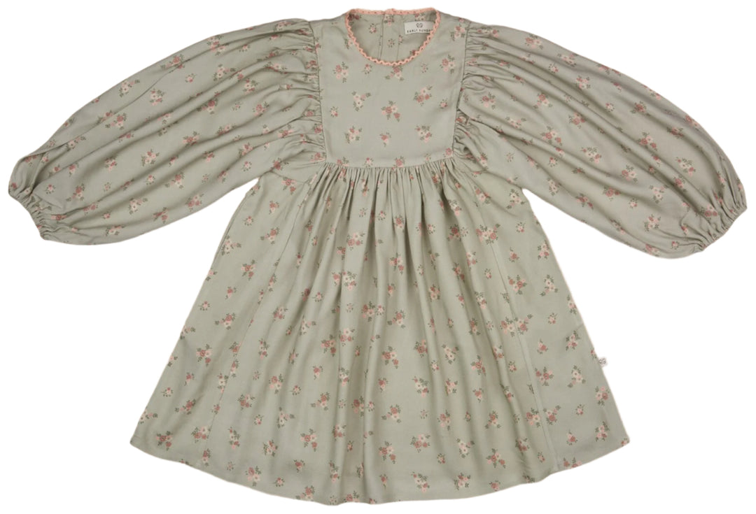 Belle Dress-Printed Viscose Rayon Twill - Ditsy Bouquet Jade Print