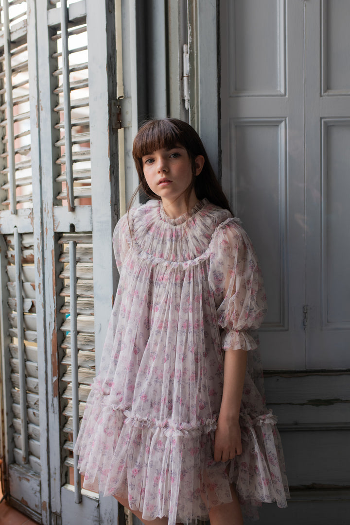 Marisol Dress Pink Roses