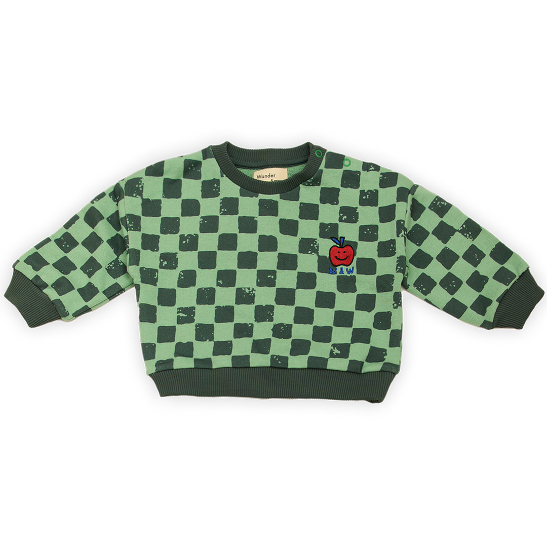D25214-Baby Sweatshirt-green tea check