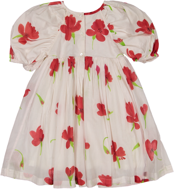 AMARA SHORT SLEEVES-POPPY