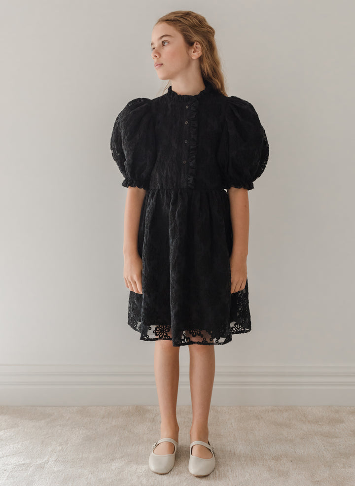 1192B-Embroidered Organza Dress-Black