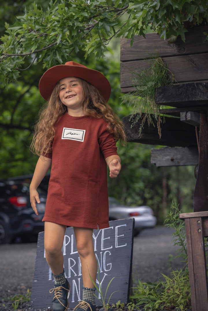 31047 Sherpa Patch Sweat Dress - Rust