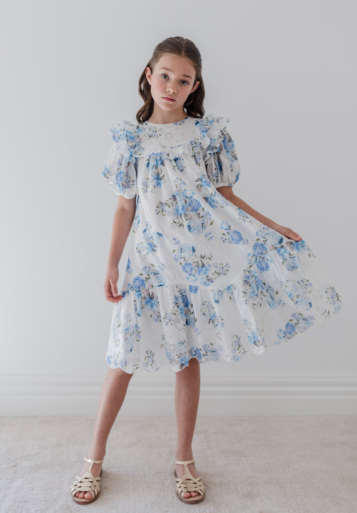 1390-BLUE ROSE PRINT EMBROIDERED DRESS