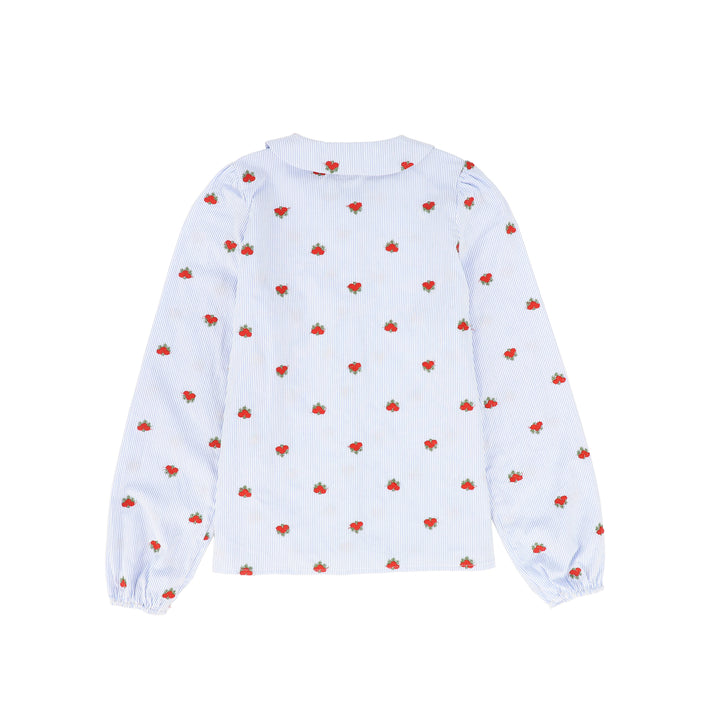 C-21080-Pinstripe Floral Blouse Floral