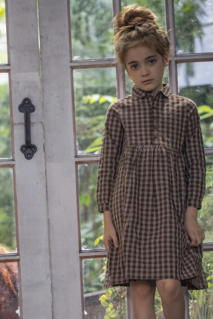 31065 Checkered Shirtdress - Chestnut/Slate