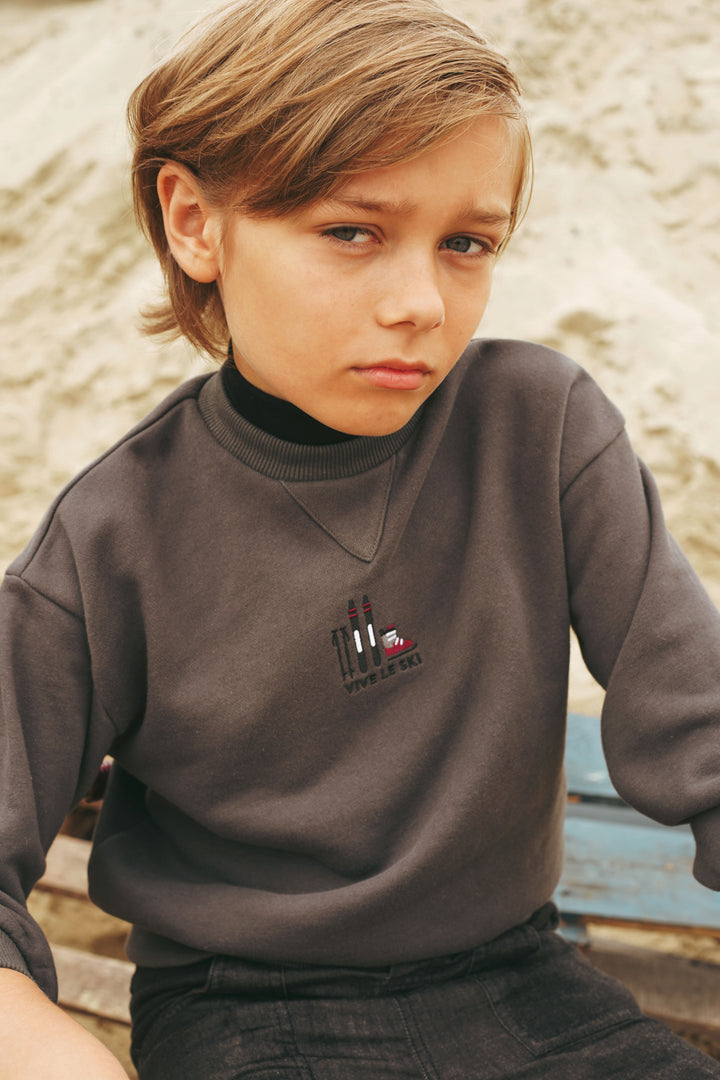 2533GR-SWEATSHIRT W MOCKNECK-GREY