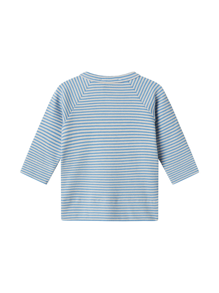 254-115-02-Blue Stripe