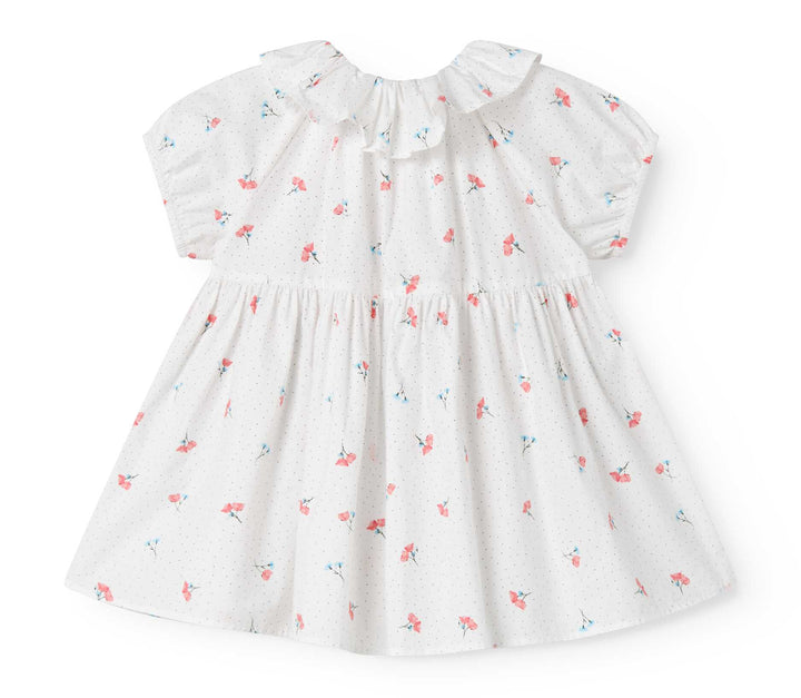 262-300-20-Dalino Dress-Poppy