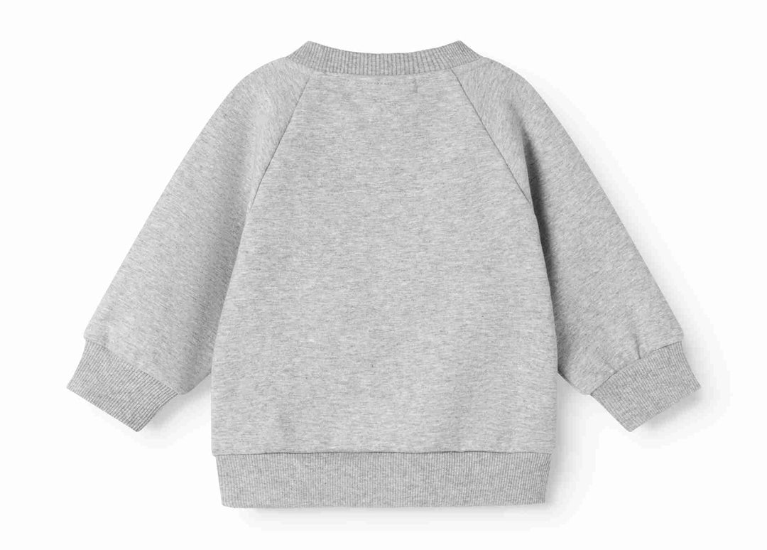 264-193-20 Theos Sweatshirt - Cloud Grey Logo