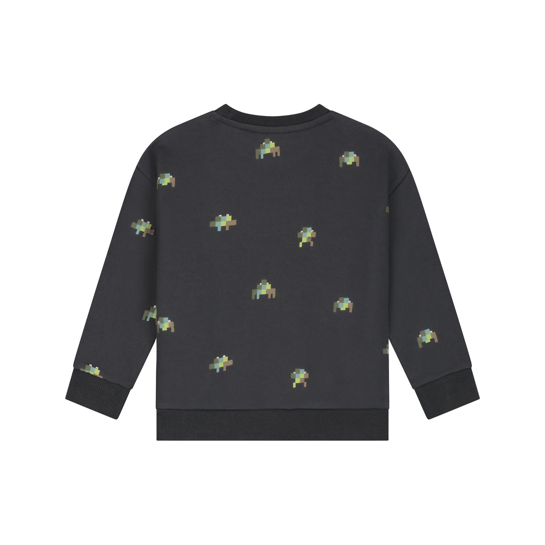26407453 BOYS SWEATSHIRT - Antra