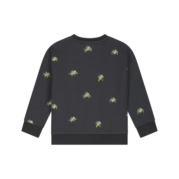 26407453 BOYS SWEATSHIRT - Antra