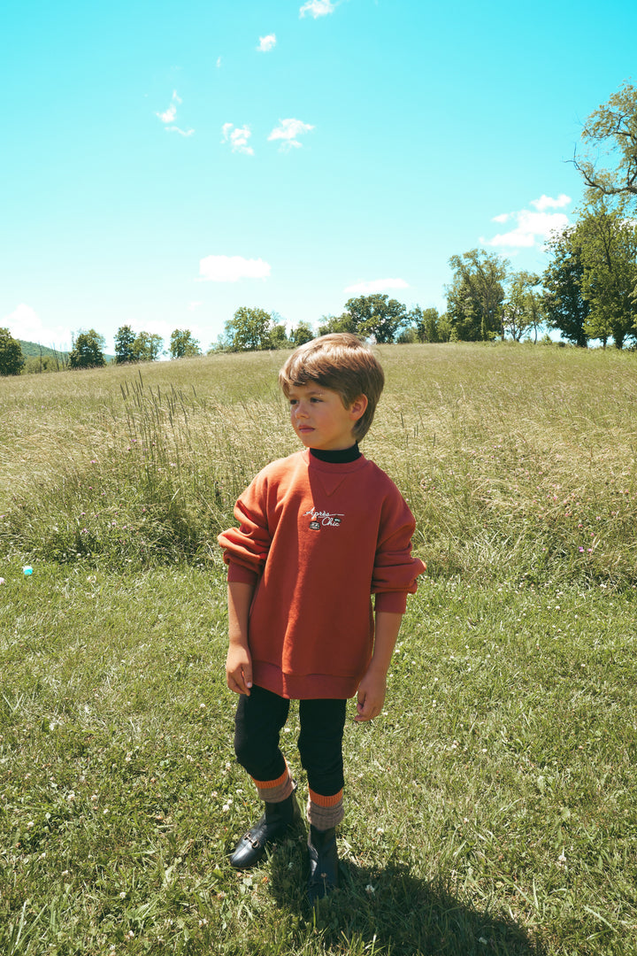 B2733RU BOY SWEATSHIRT W MOCKNECK-Rust
