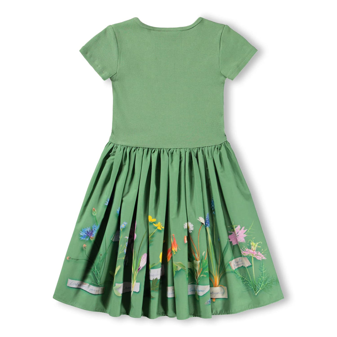 Cissa-Flora Collector