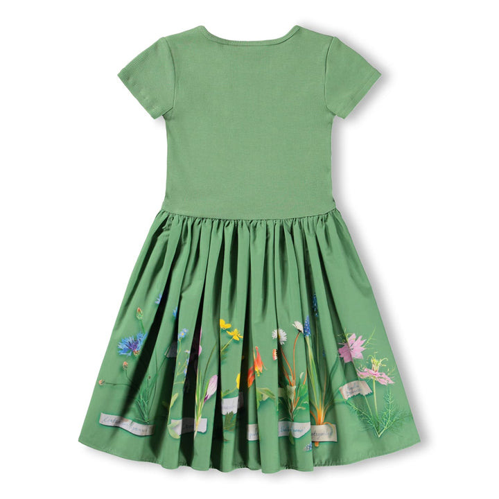 Cissa-Flora Collector