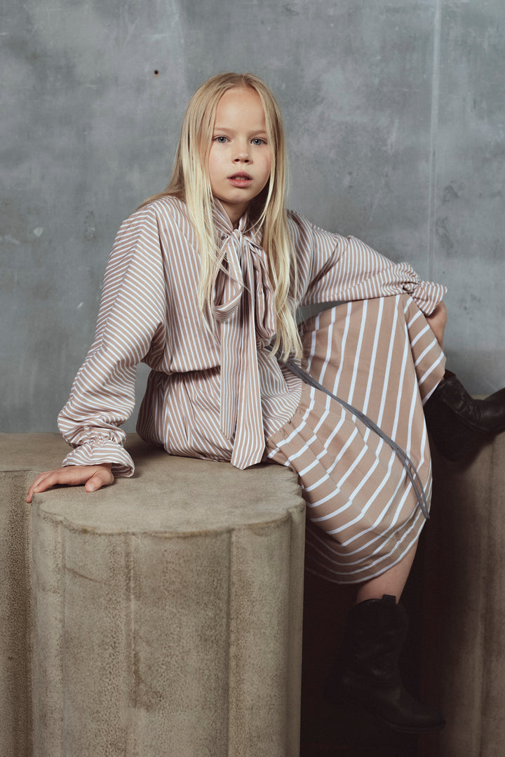 ERIN DRESS-CACAO STRIPES
