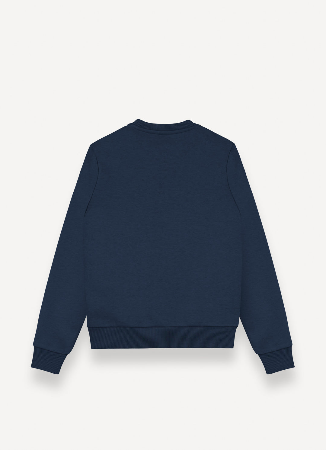 36000080N/1WX SOFT CREW-NECK SWEATSHIRT - SATELLITE