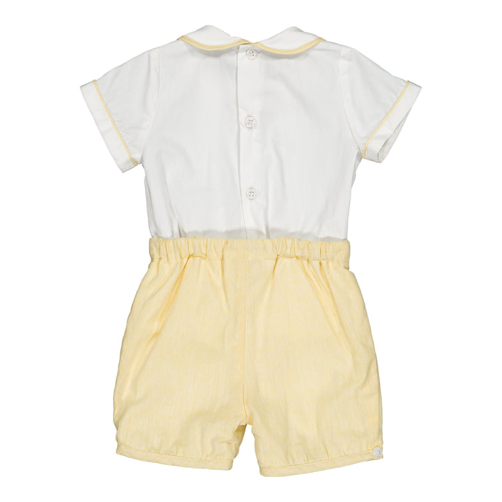 36172-PTI/TU290 SETS - YELLOW COTTON-LINEN