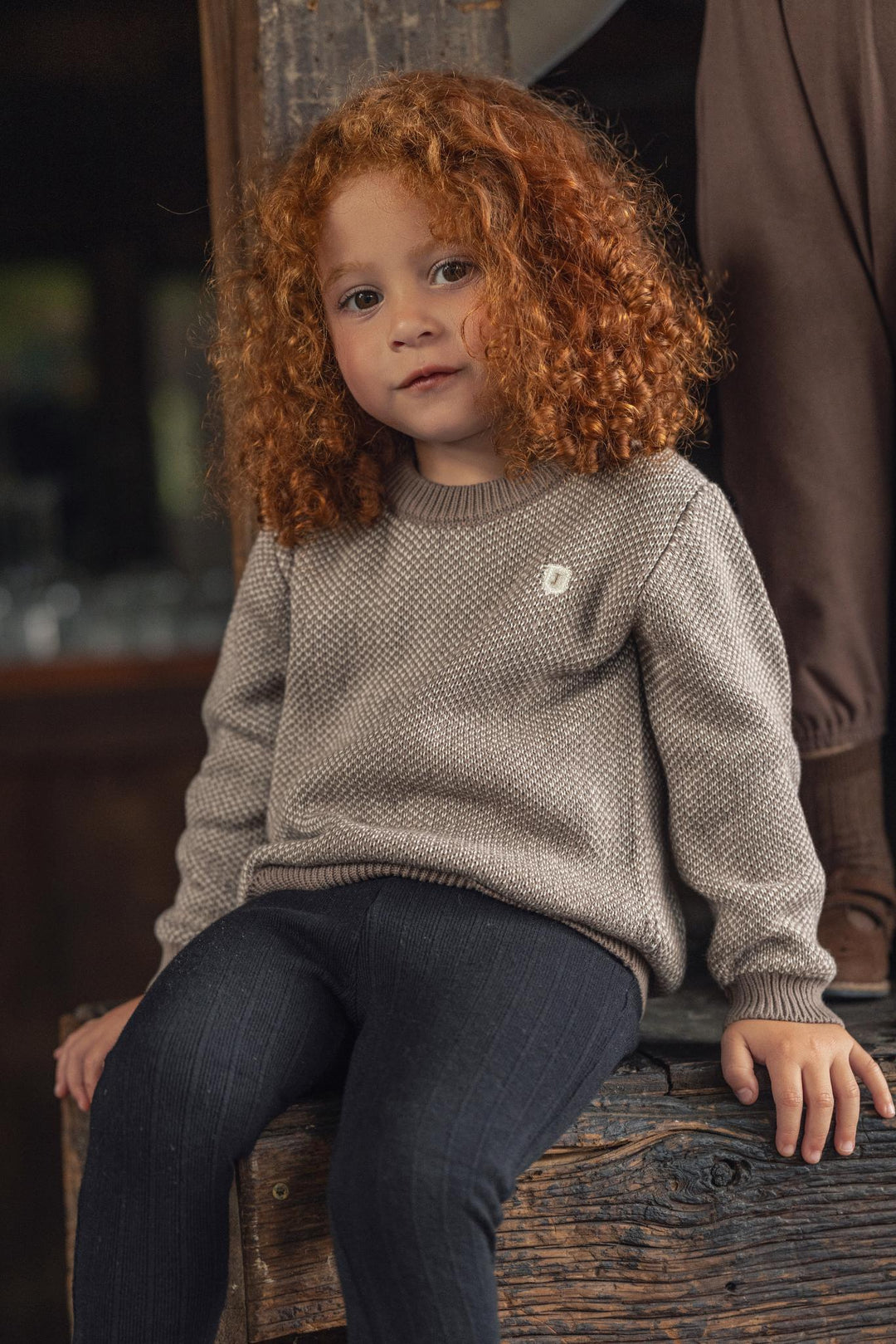 31075 Novelty Knit Crew Neck - Toffee/Cream