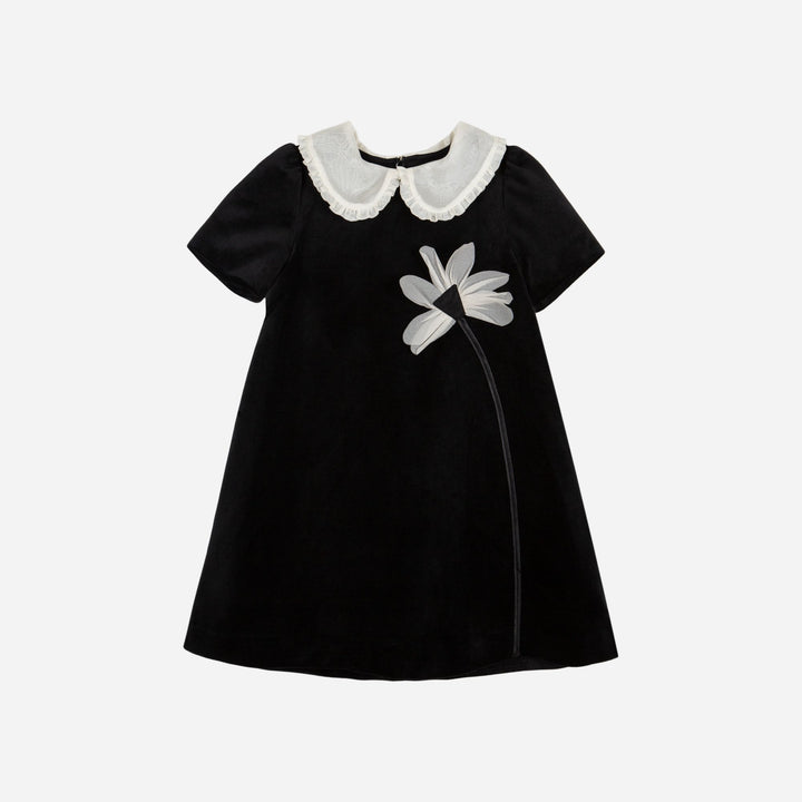 PAP/VET4133524-BLACK