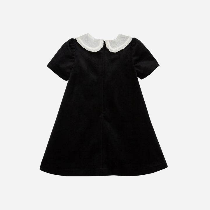 PAP/VET4133524-BLACK