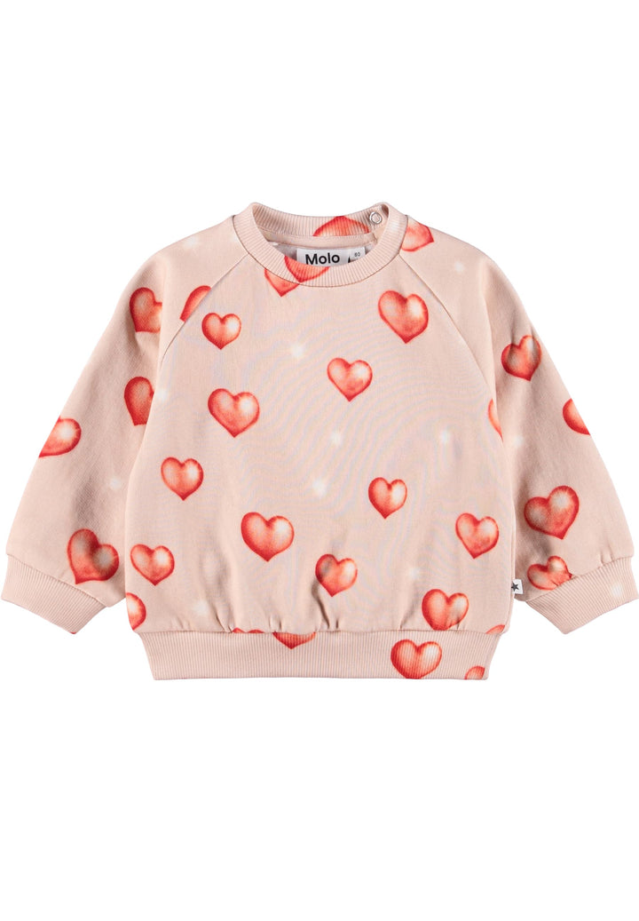 Disc Sweat shirt - Airbrush Hearts