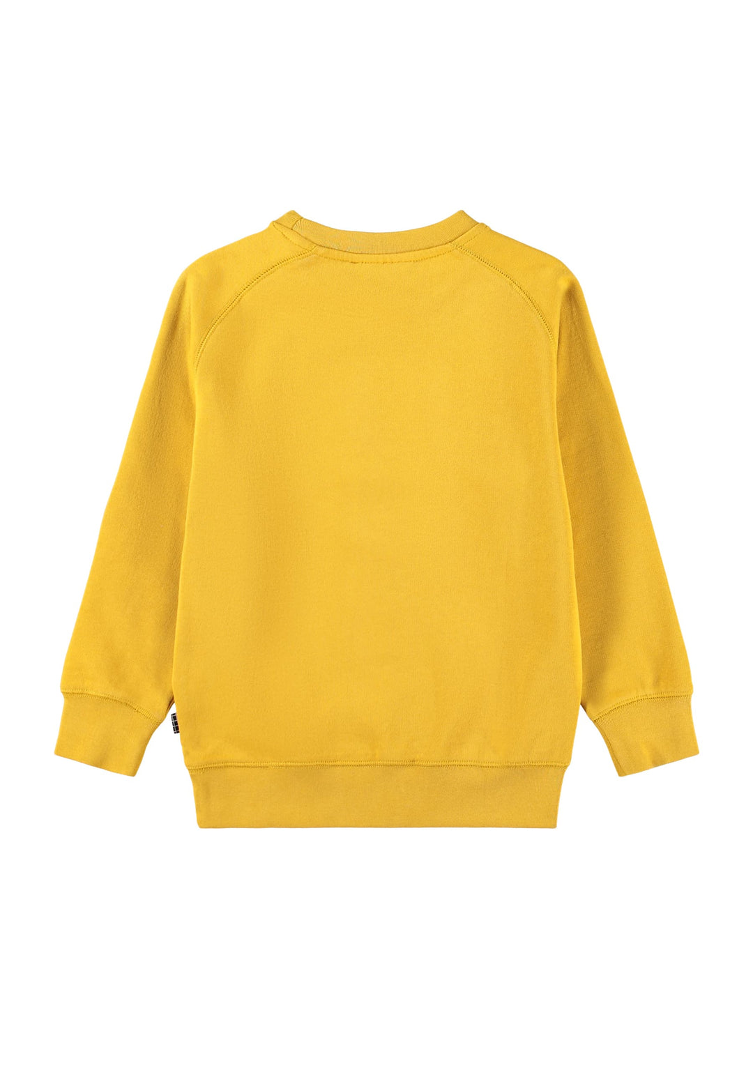 Mike Sweat shirt - Energy