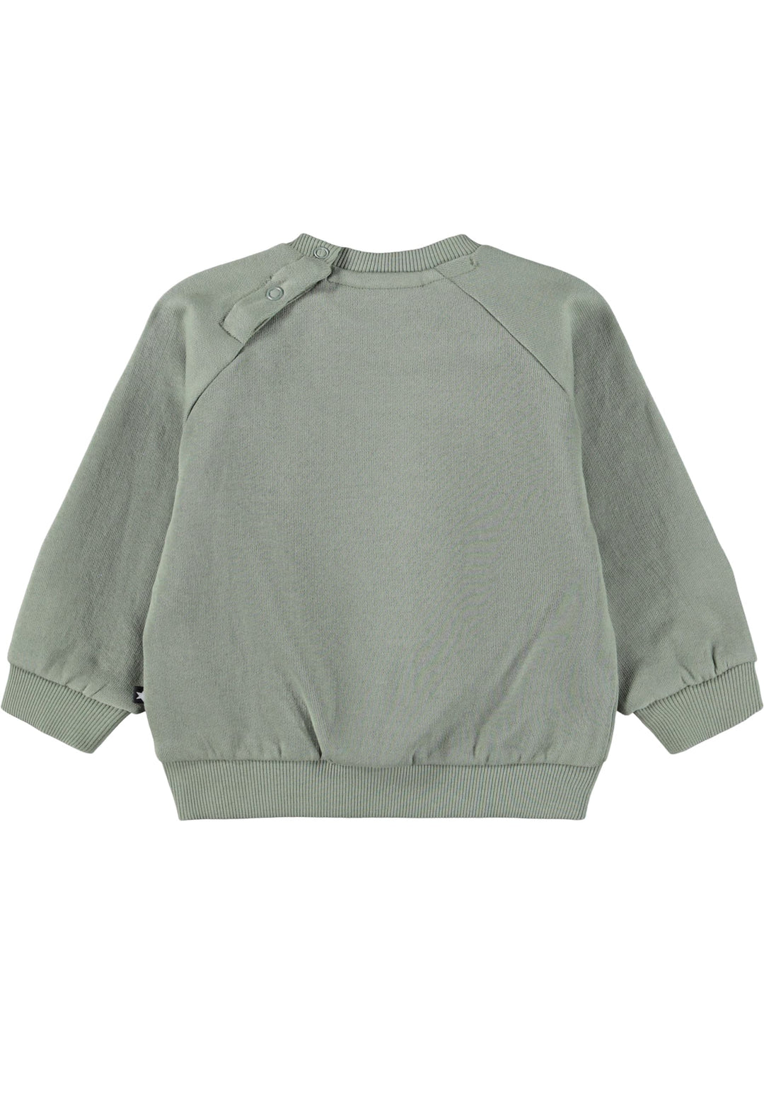 Disc Sweat shirt - Cladonia