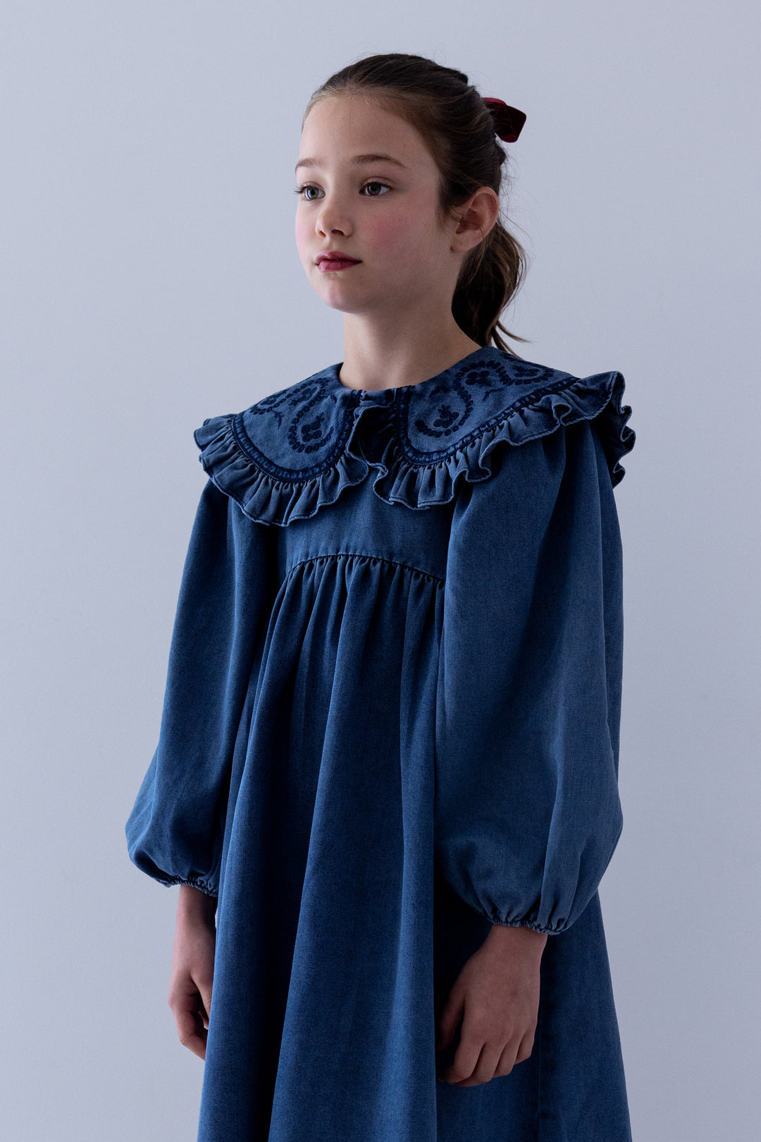 8262D Chambray Embroidered Collar Dress - Blue Wash