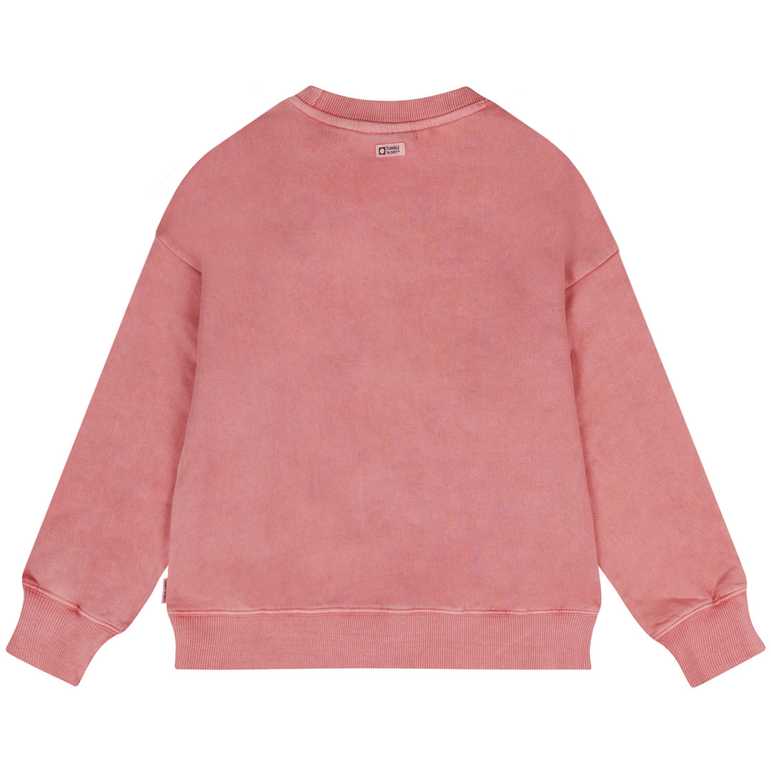 84-21175-16198-dusty rose