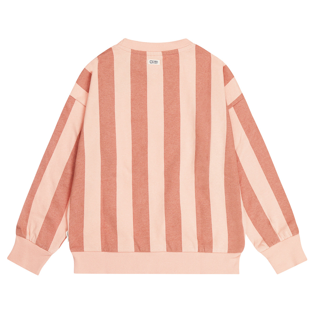 84-21175-17222 APRICOT BLUSH