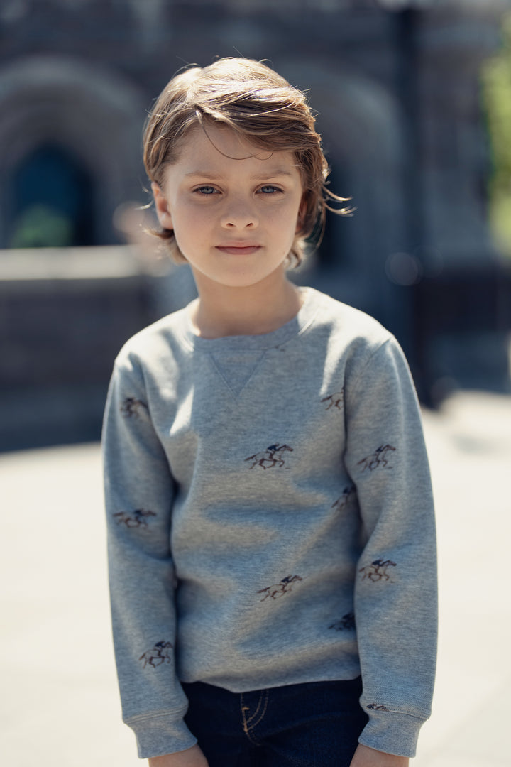 E431 Sammi Sweatshirt - Grey