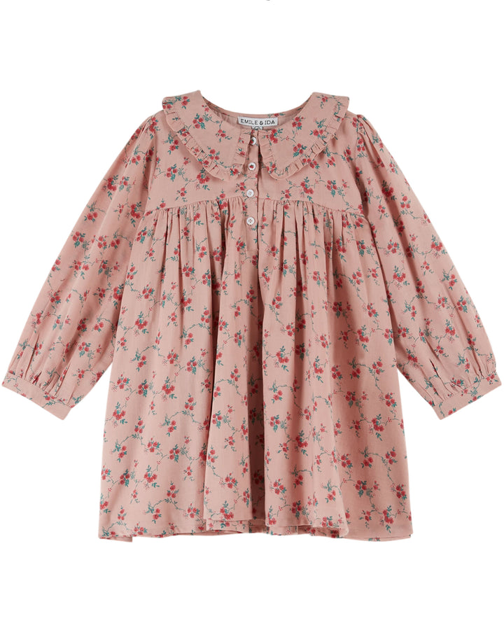 AC045-ROBE QUI TOURNE-ASTER