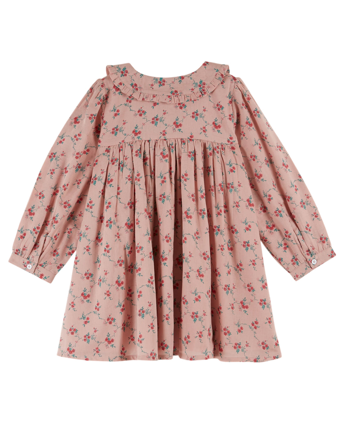 AC045-ROBE QUI TOURNE-ASTER