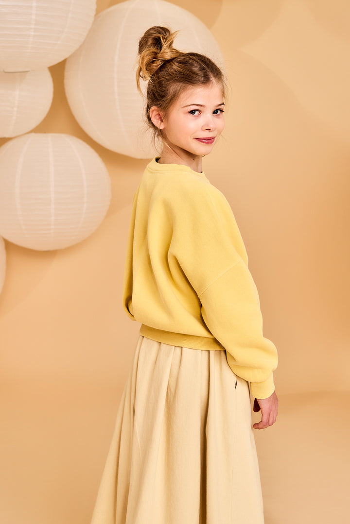 225-1150-350-ginger