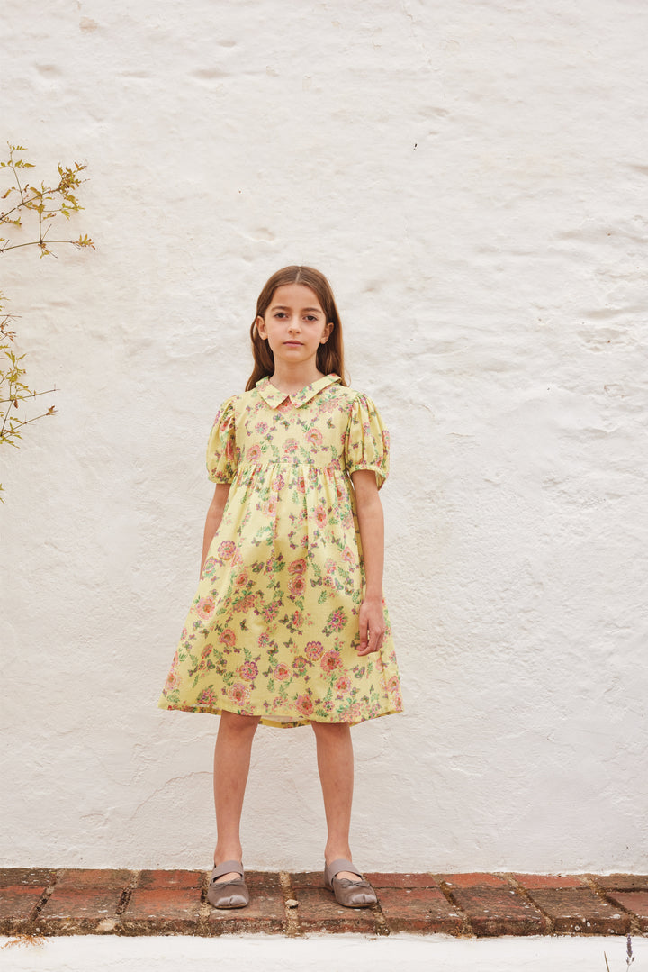 SOPHIA DRESS-Spring Meadow