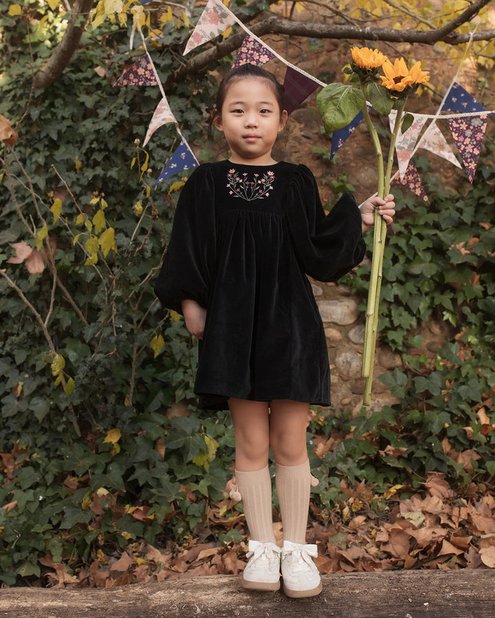 FB-FW26-00007 BELLE DRESS LONG - VELVET VELOURS BLACK
