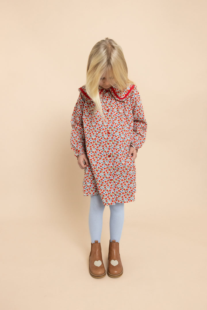 F11071-Ruby Dress-Ditsy Rose