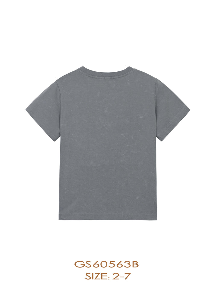 GS60563B SS TEE-Slate