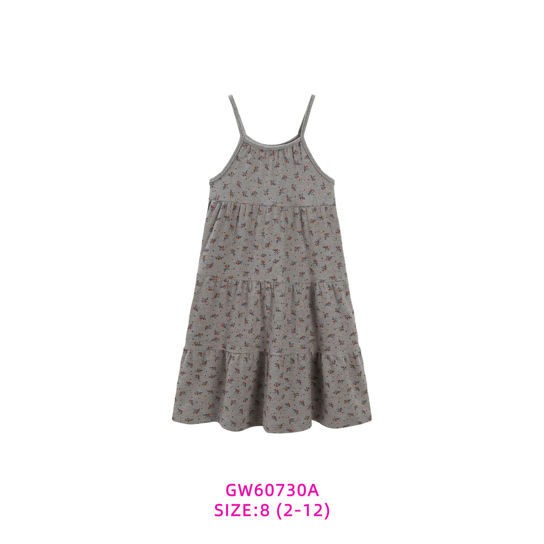 GW60730A-