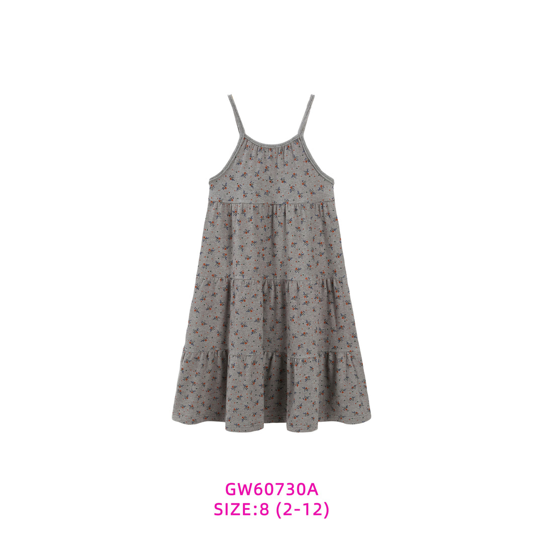 GW60730A-