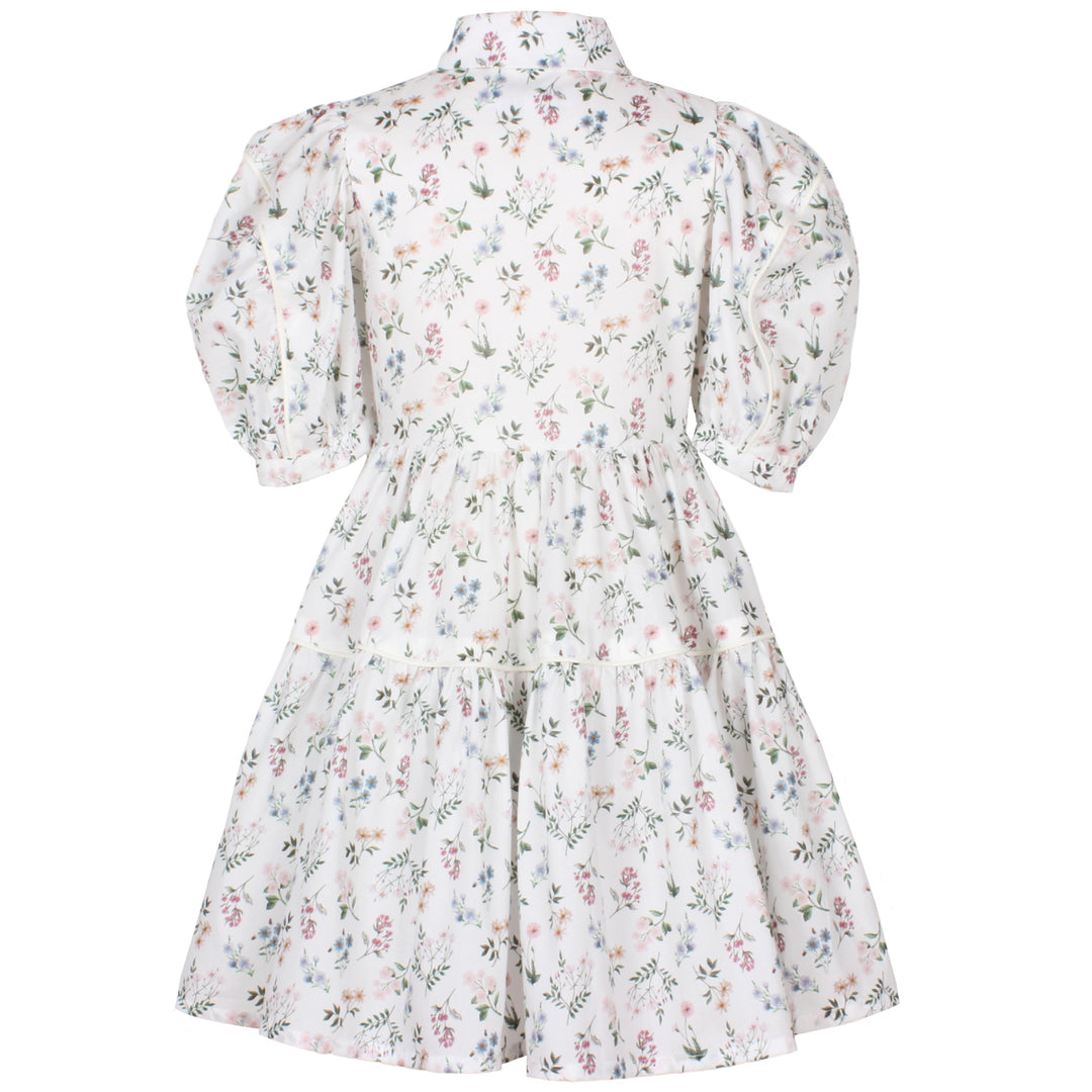 AZ-40603 - Glistening Dress - Annie Flower Print