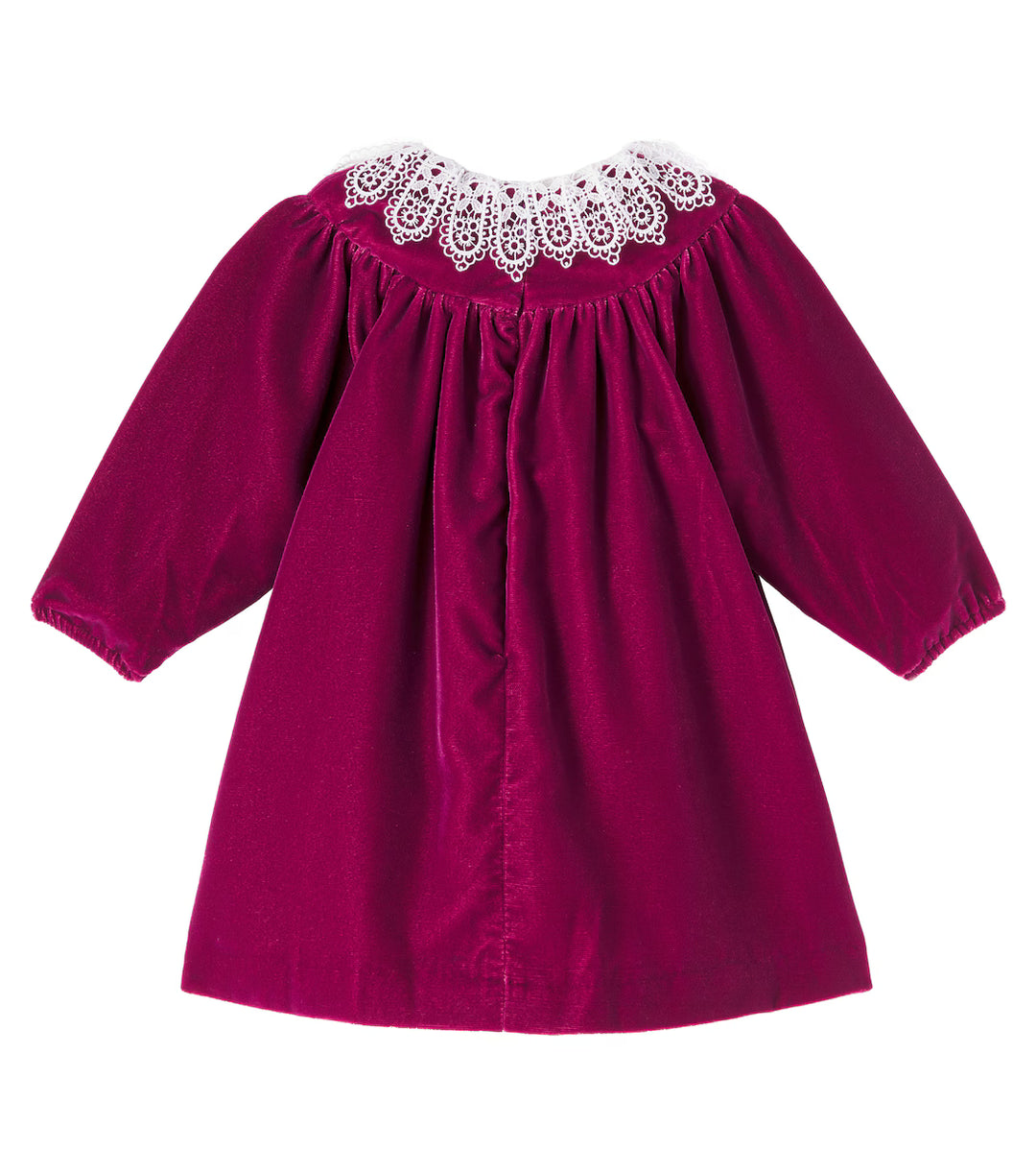 ROBE7-Rhododendron