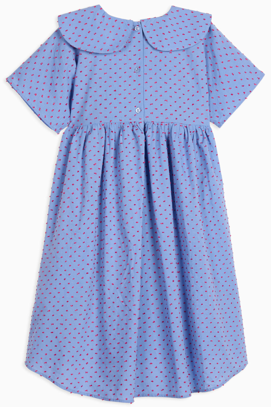 SILVIA RUBY FRECKLES