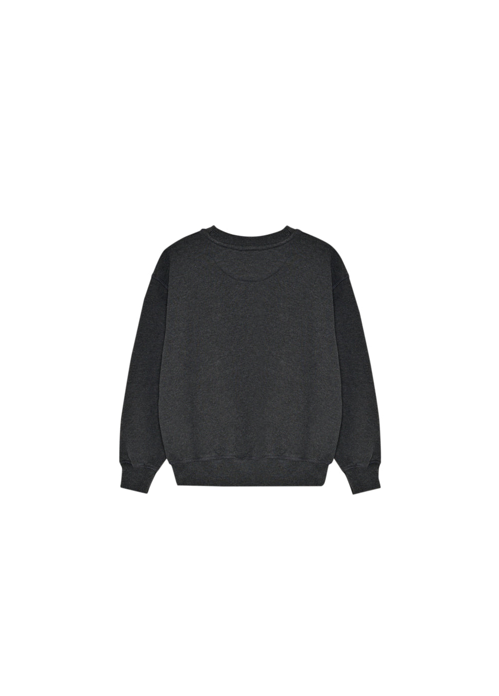 TNS Logo Special Sweatshirt-Galactic Grey Melange