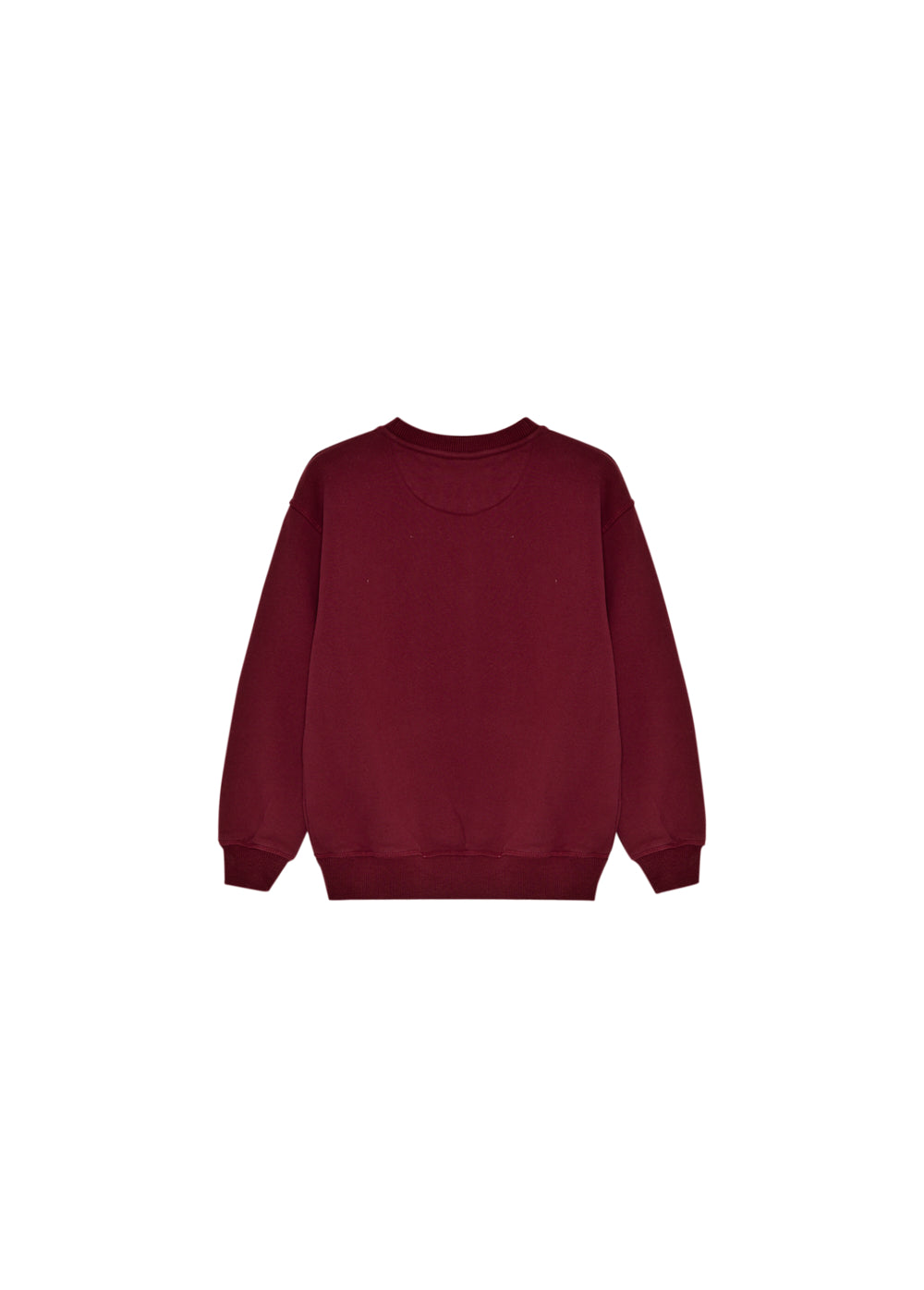 TNS Logo Special Sweatshirt-Plum Fantasy