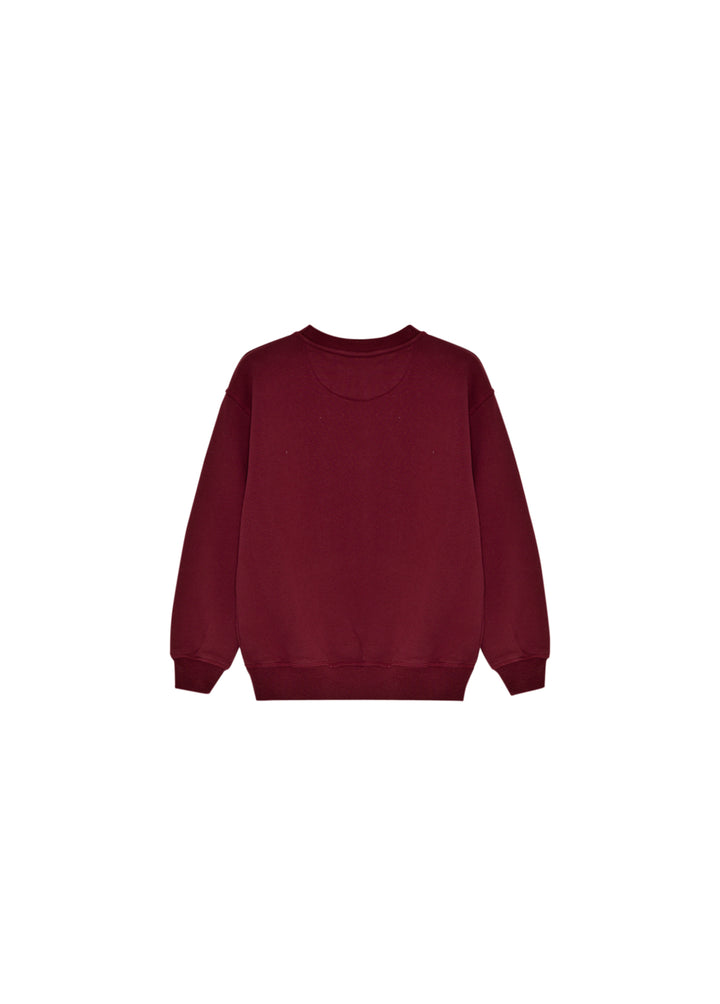 TNS Logo Special Sweatshirt-Plum Fantasy