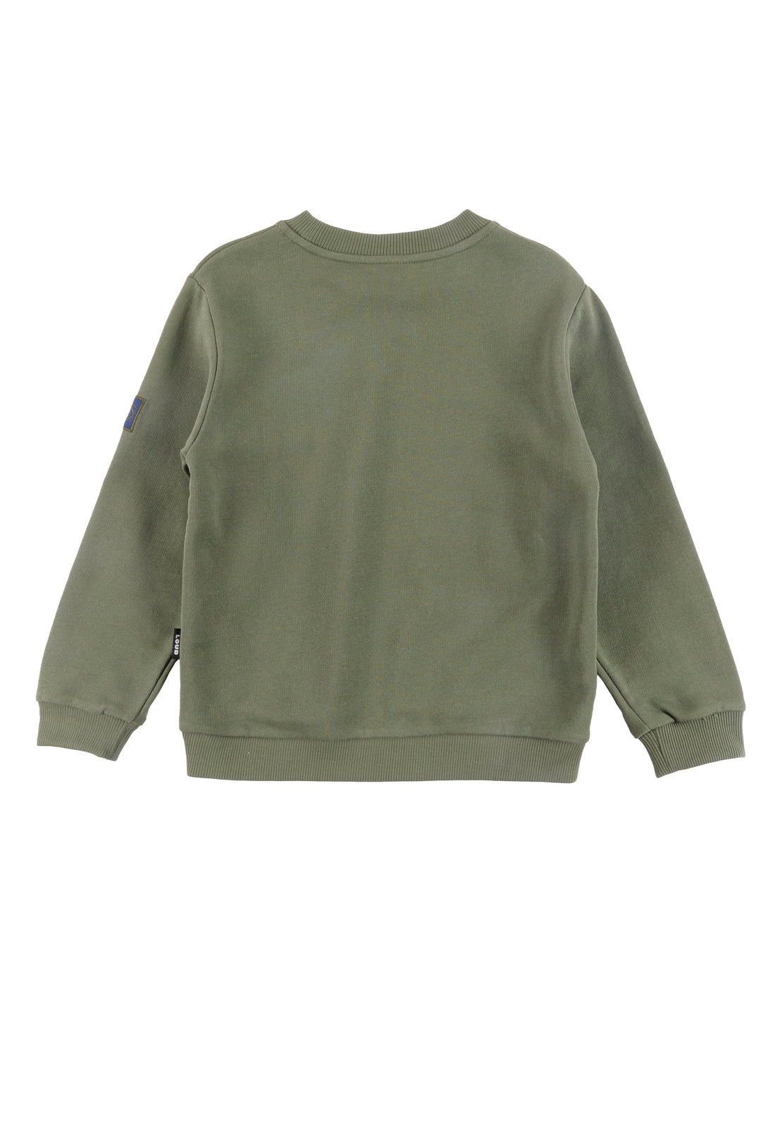 UJ01 FAMILY-Sweater Regular fit-GREEN