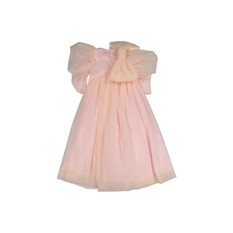 AW23-42-DIANA MAXI DRESS-Pink Tulle