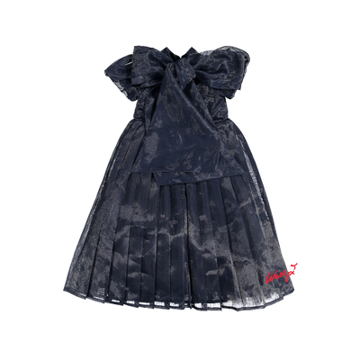 AW23-45-IDA MAXI DRESS-Navy Blue Linen